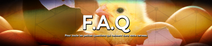 bannière FAQ